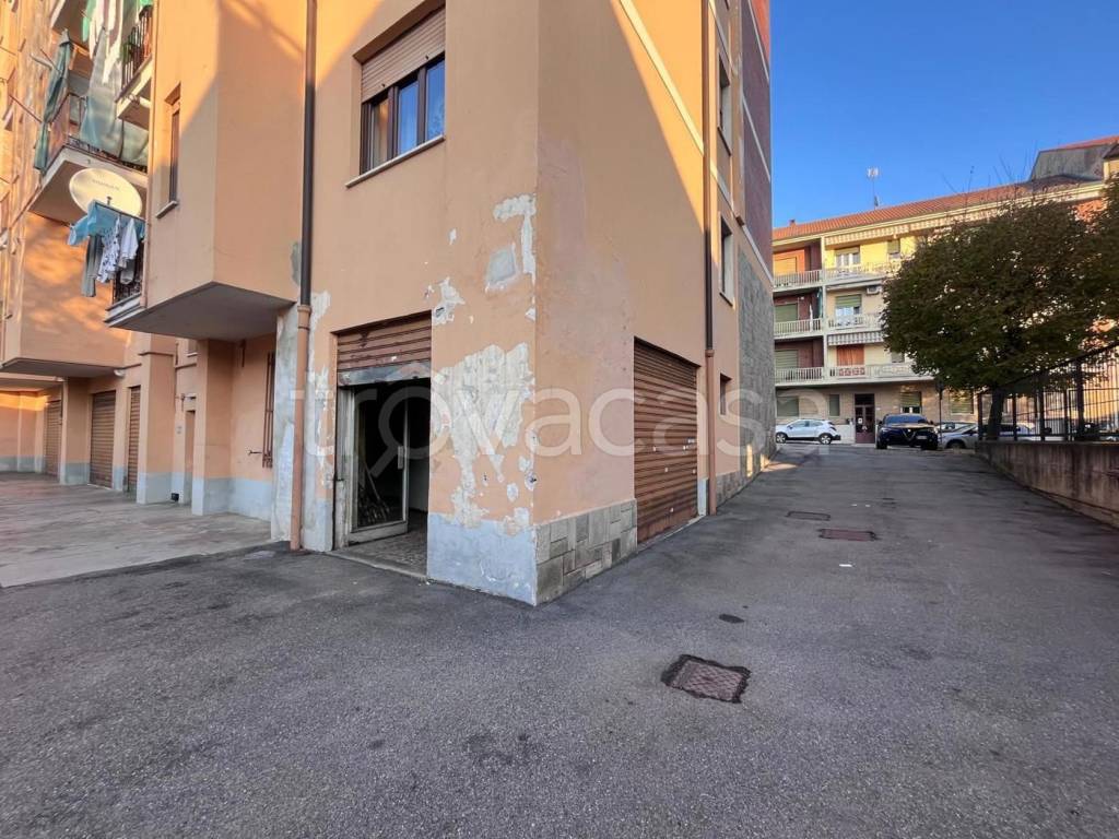 immagine annuncio 3 di 14