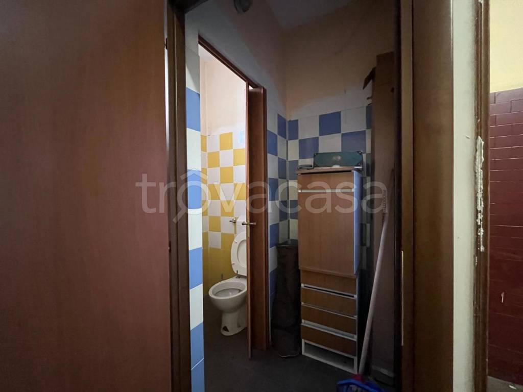 immagine annuncio 10 di 14