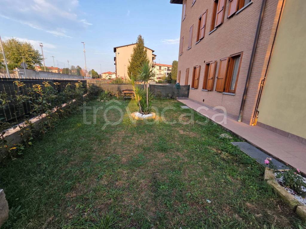 immagine annuncio 6 di 15