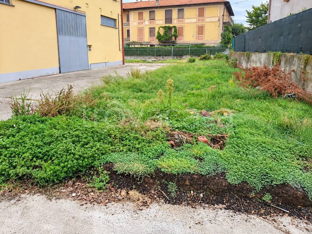 immagine annuncio 4 di 8