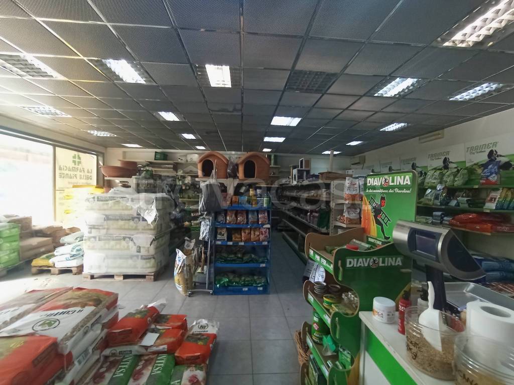 immagine annuncio 8 di 14