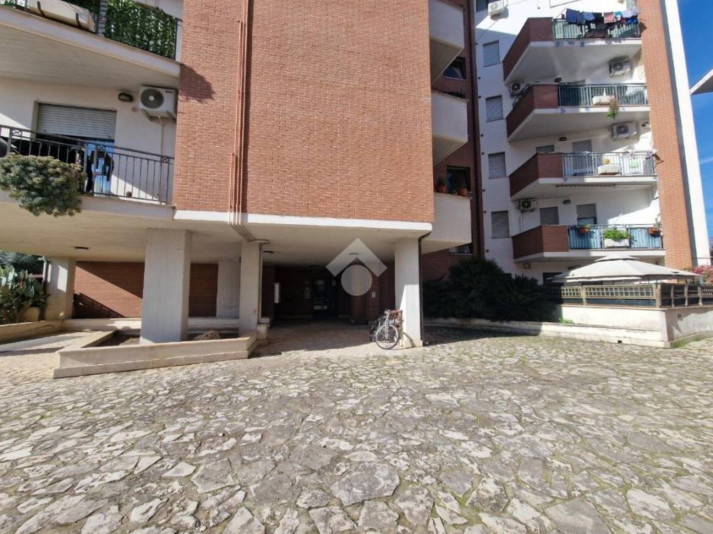 immagine annuncio 10 di 14