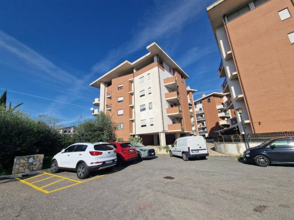 immagine annuncio 11 di 14