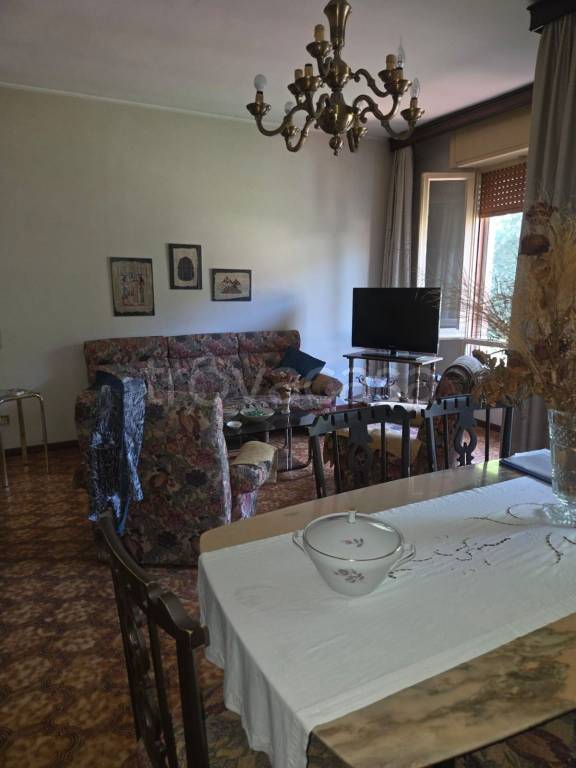immagine annuncio 3 di 13