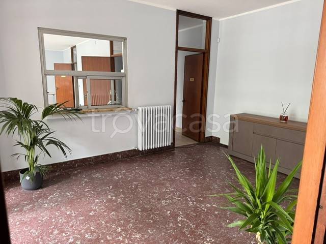 immagine annuncio 8 di 14