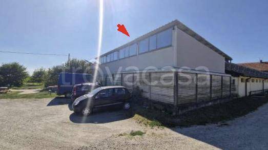 immagine annuncio 2 di 12