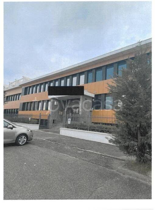 immagine annuncio 1 di 14