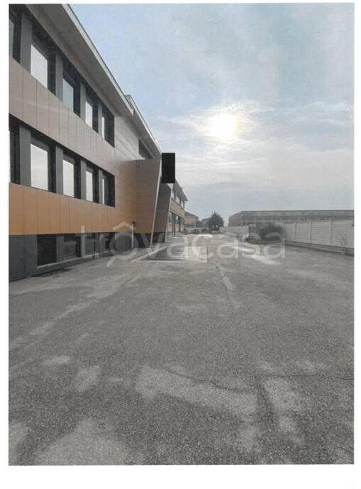 immagine annuncio 3 di 14
