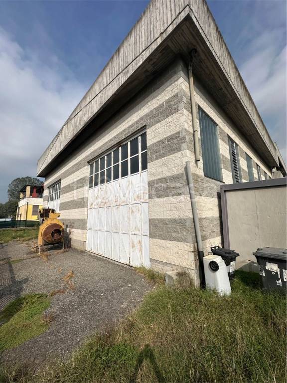 immagine annuncio 2 di 15