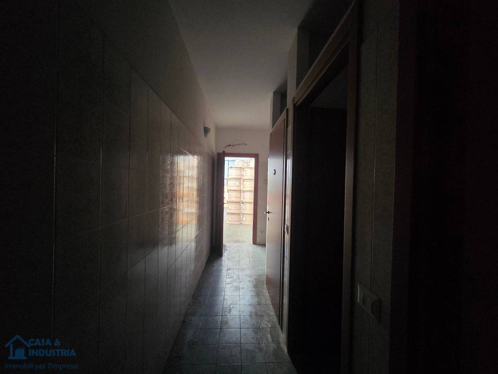 immagine annuncio 13 di 14