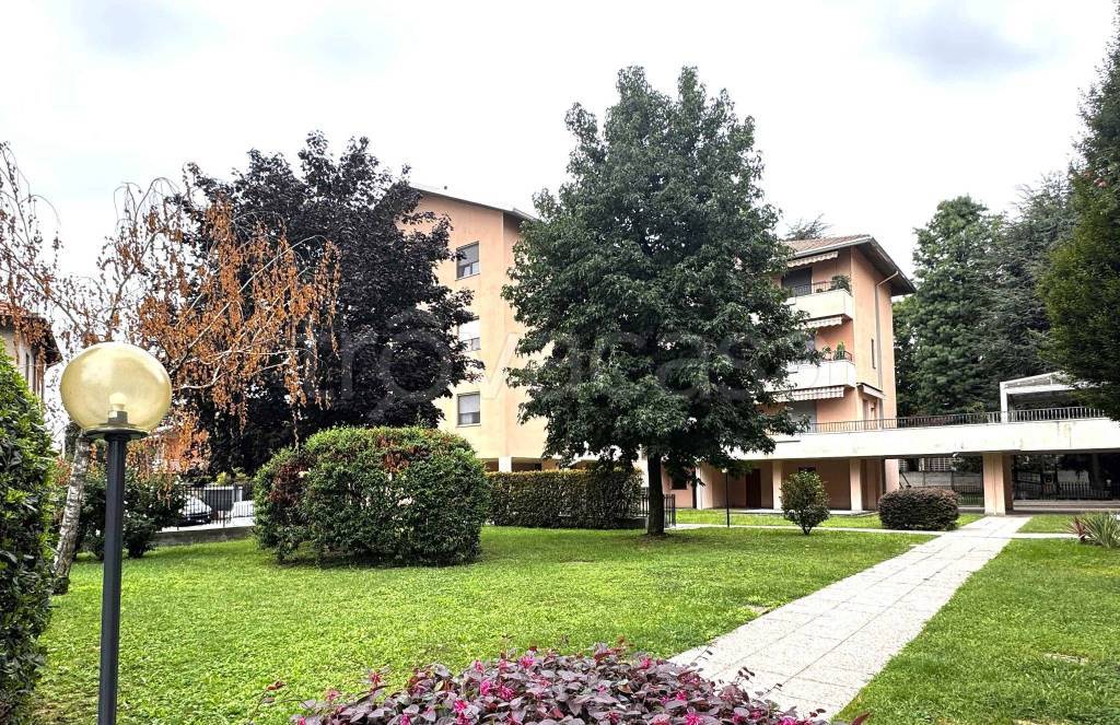 immagine annuncio 5 di 12