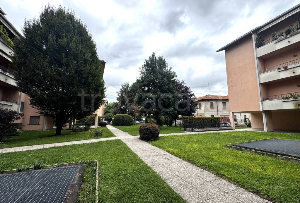 immagine annuncio 2 di 12