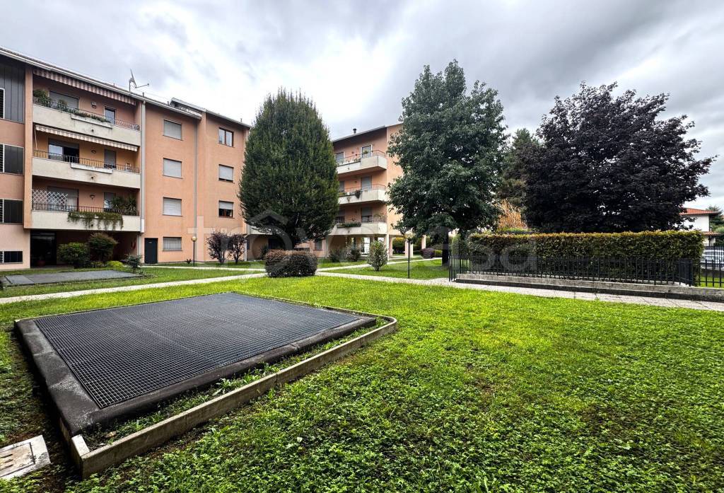 immagine annuncio 1 di 12