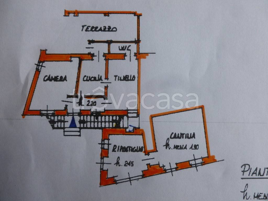 immagine annuncio 6 di 15