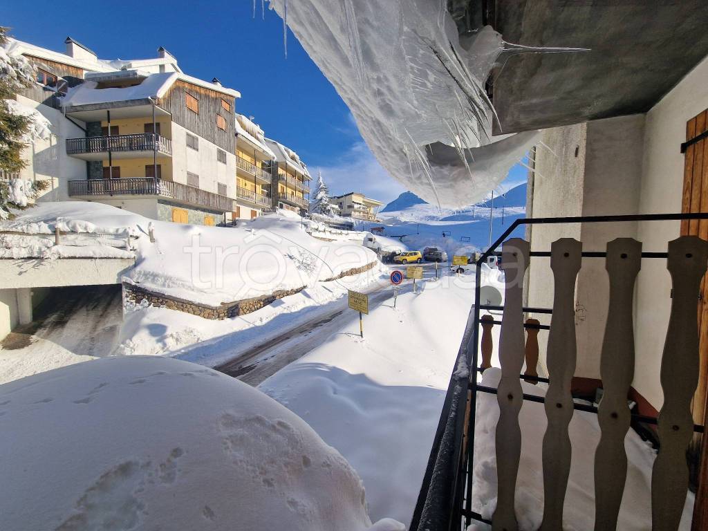 immagine annuncio 9 di 12