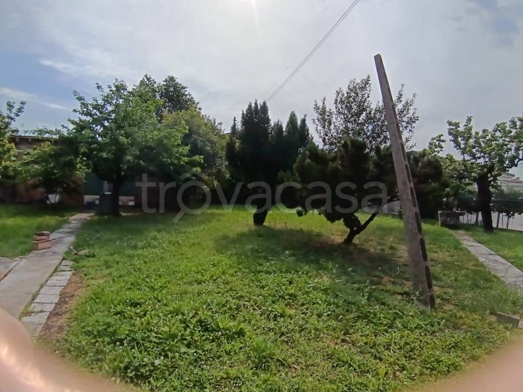 immagine annuncio 11 di 13