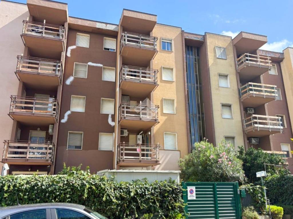 immagine annuncio 11 di 12