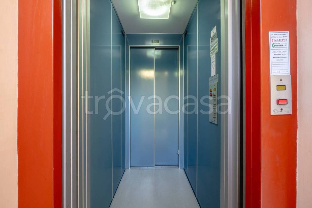 immagine annuncio 9 di 15