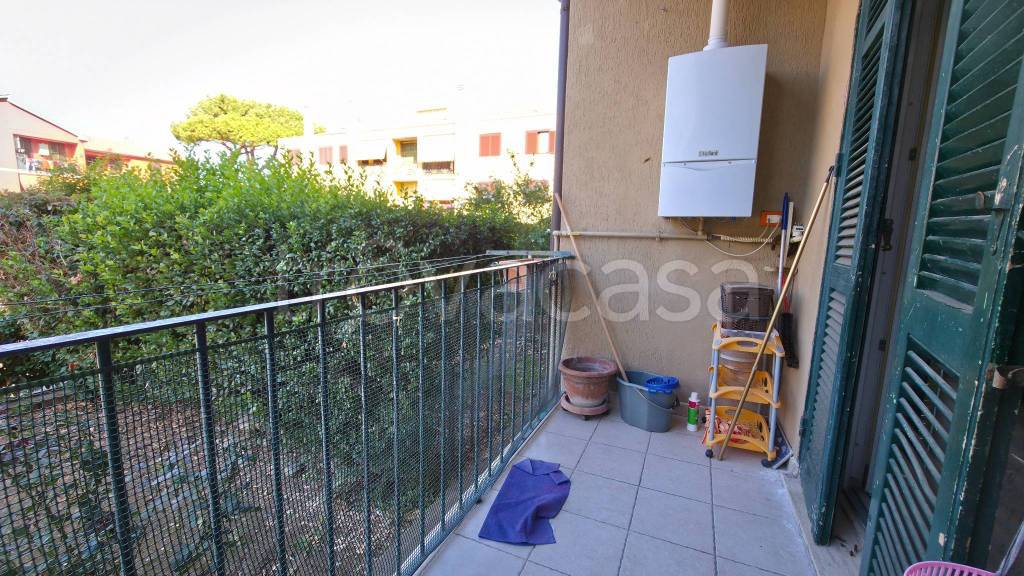 immagine annuncio 4 di 14