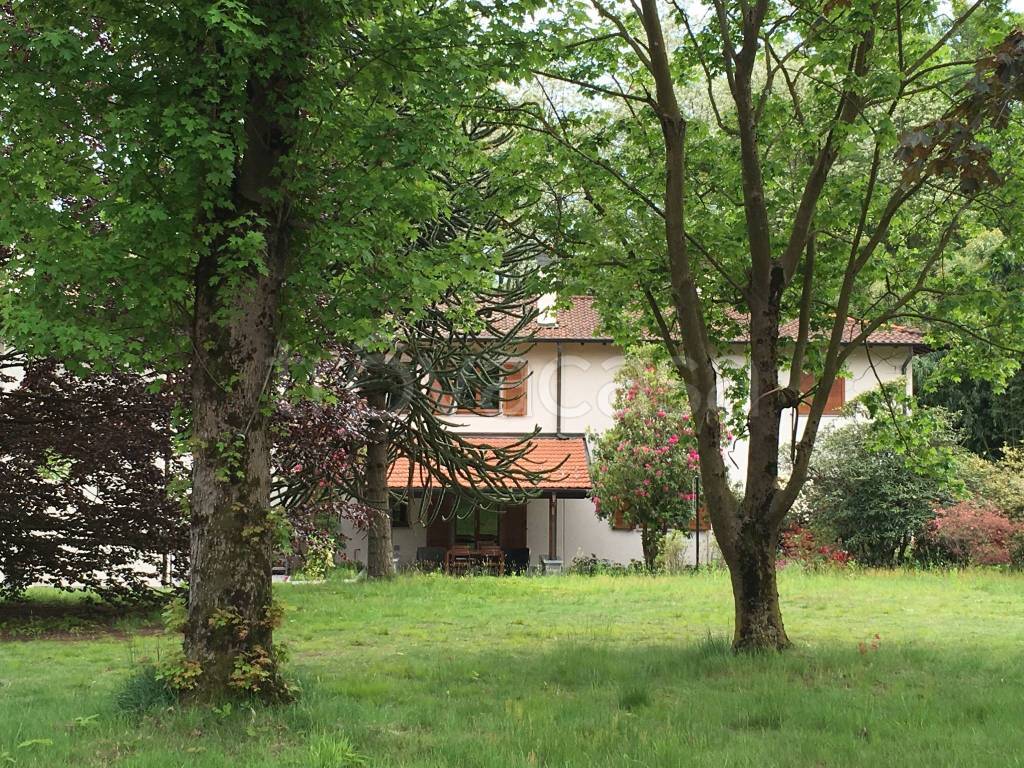 immagine annuncio 9 di 11