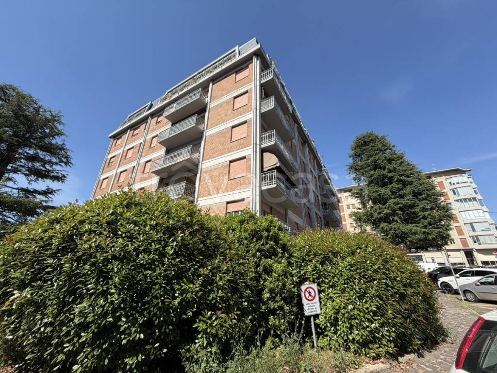 immagine annuncio 11 di 12