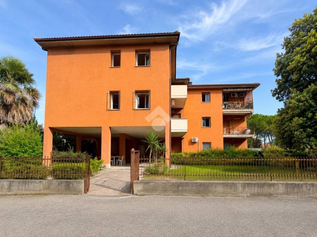 immagine annuncio 1 di 15