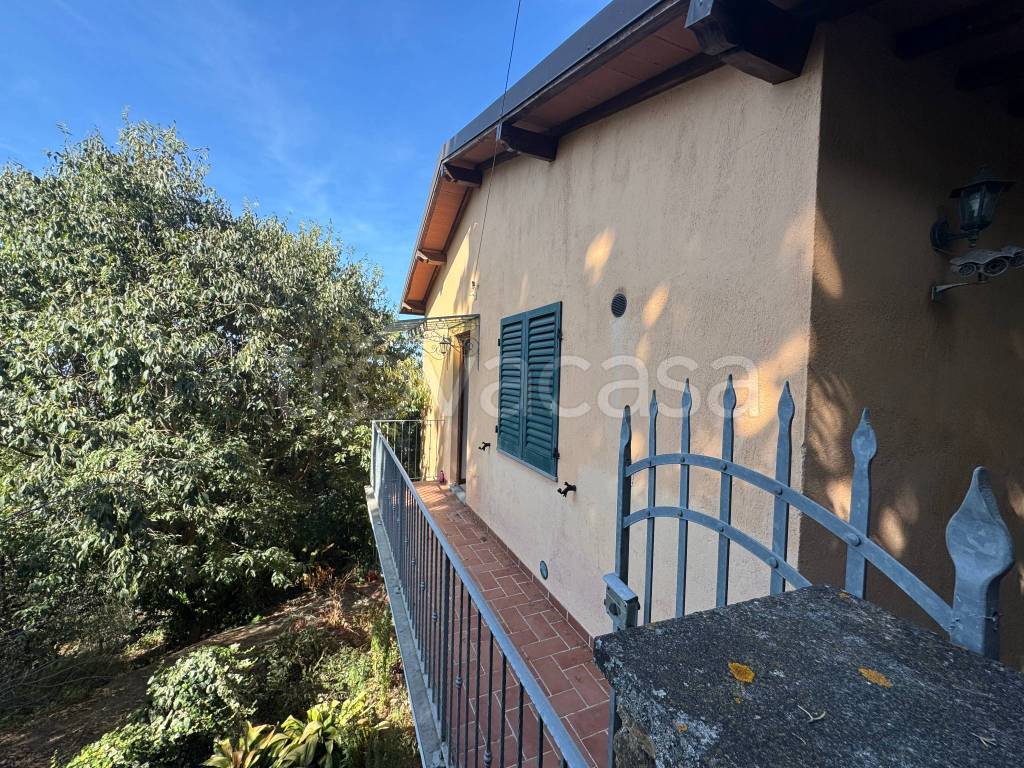 immagine annuncio 8 di 14