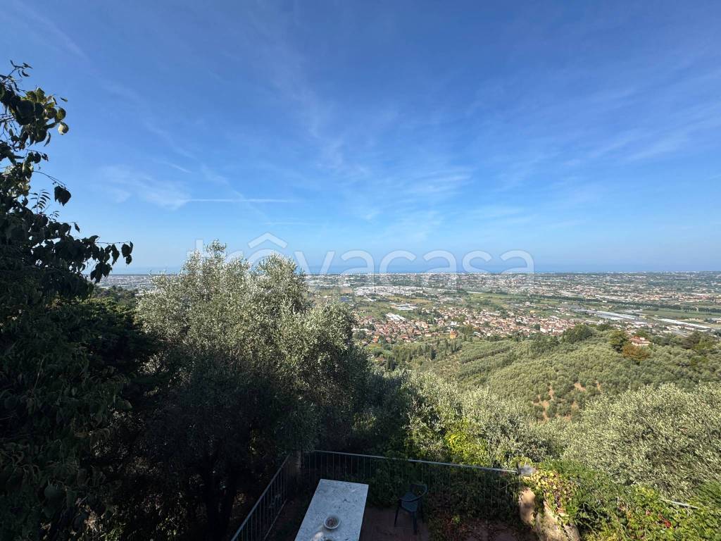 immagine annuncio 9 di 14