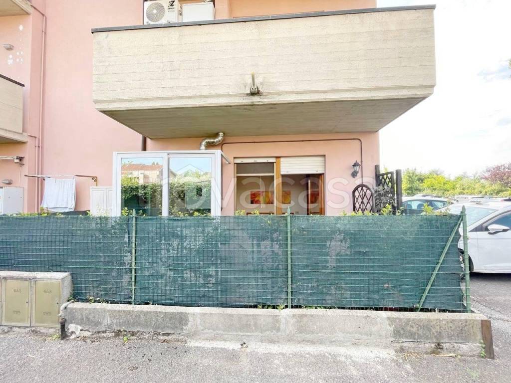 immagine annuncio 12 di 15
