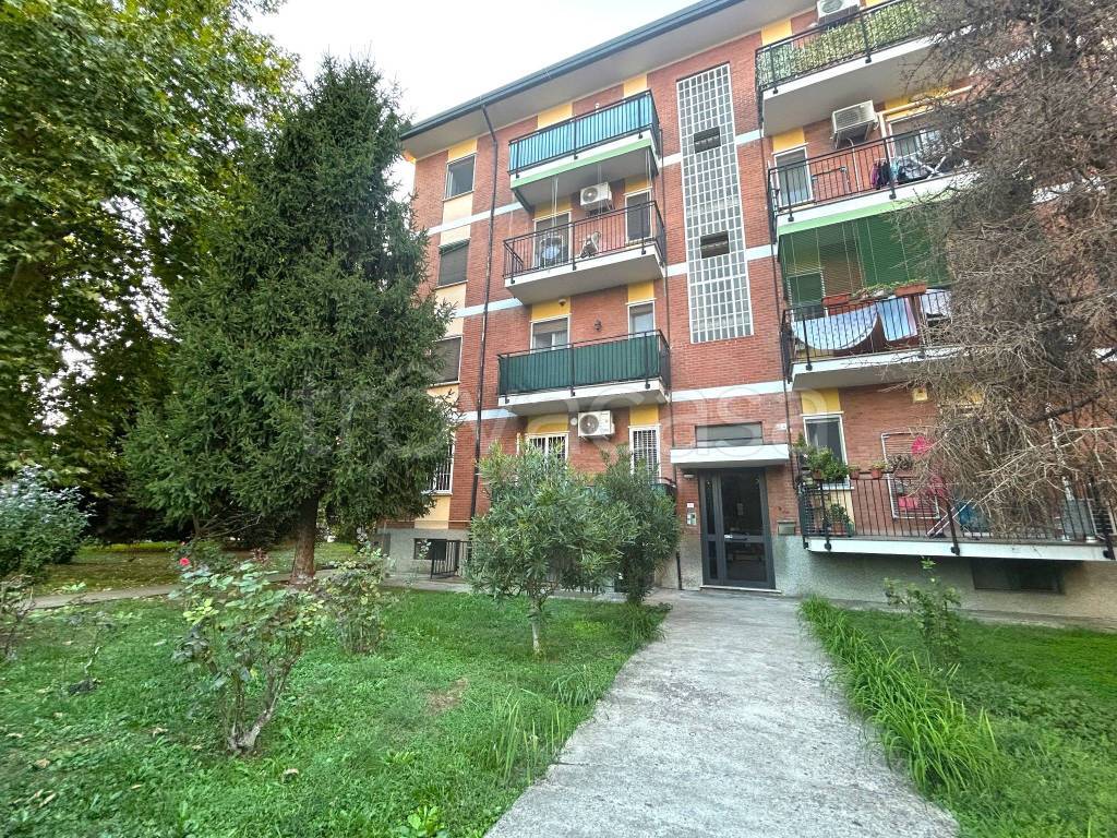 immagine annuncio 13 di 14