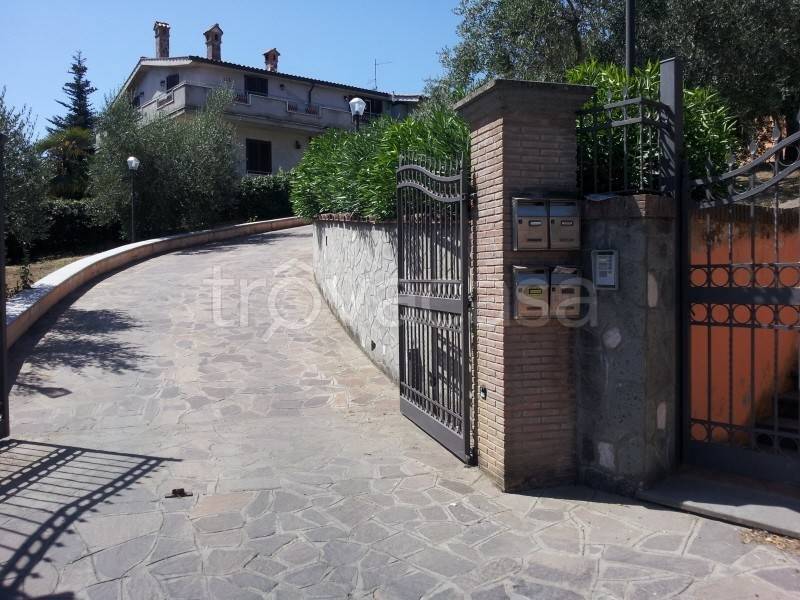immagine annuncio 8 di 14