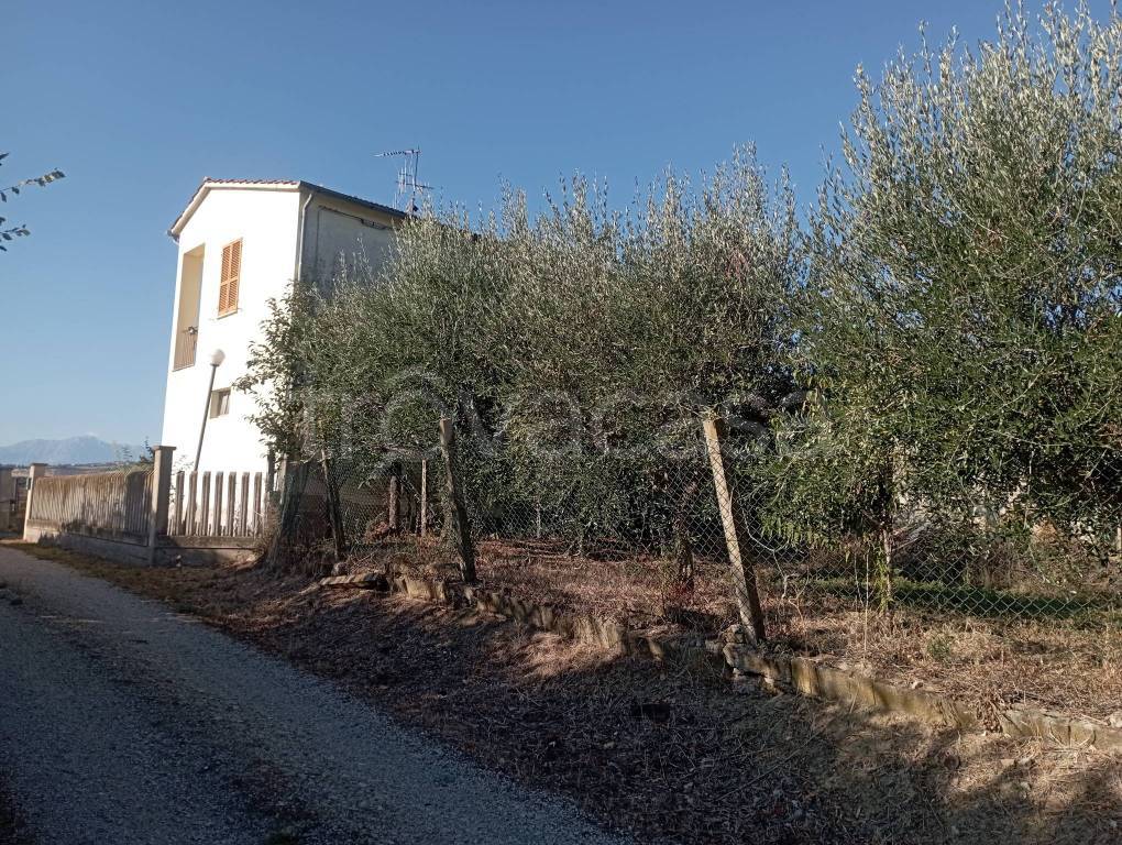 immagine annuncio 1 di 8