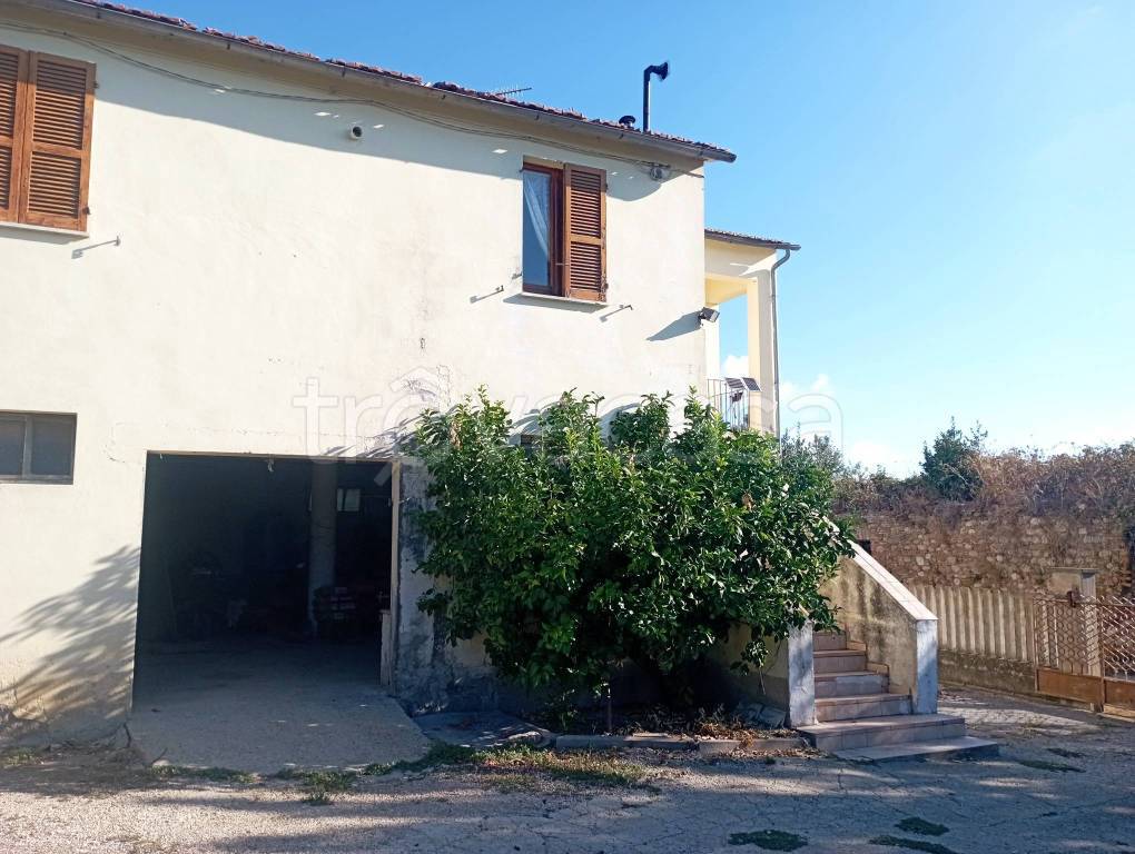 immagine annuncio 2 di 8