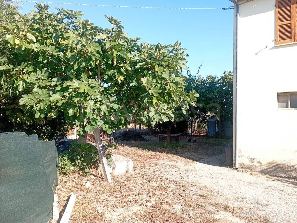 immagine annuncio 3 di 8