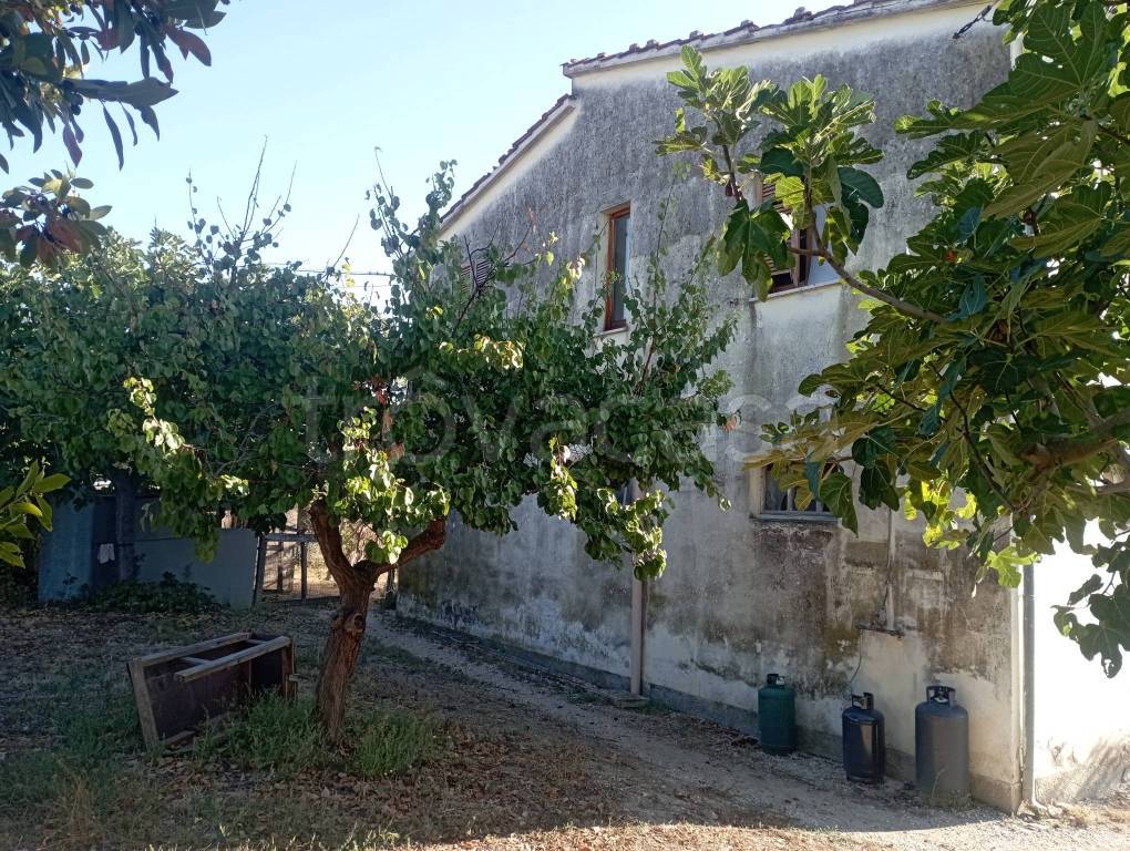 immagine annuncio 5 di 8