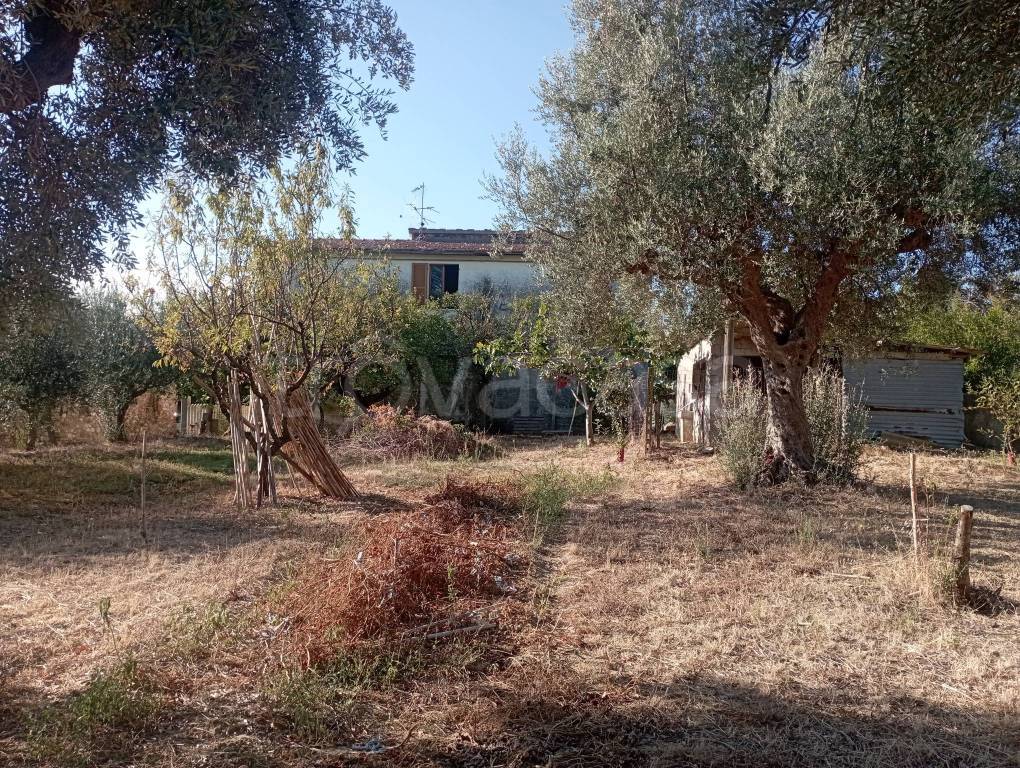 immagine annuncio 6 di 8