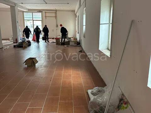 immagine annuncio 3 di 7