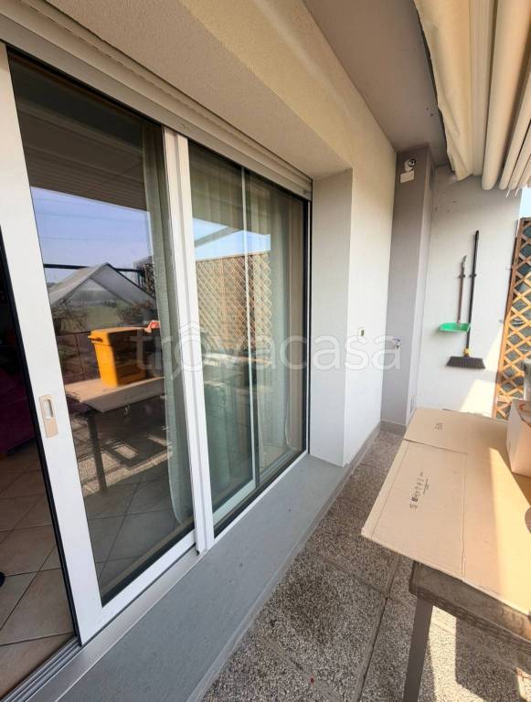 immagine annuncio 6 di 12
