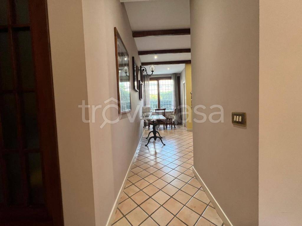 immagine annuncio 9 di 14