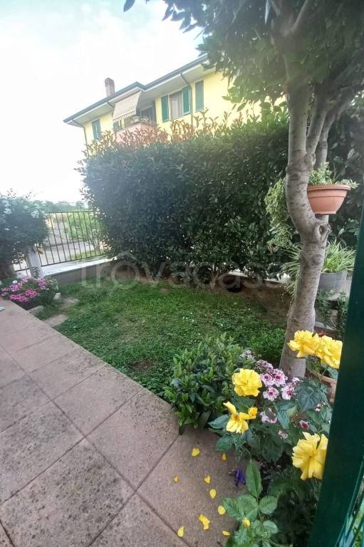 immagine annuncio 8 di 14
