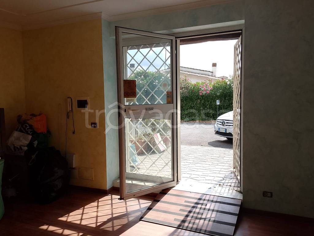 immagine annuncio 2 di 13