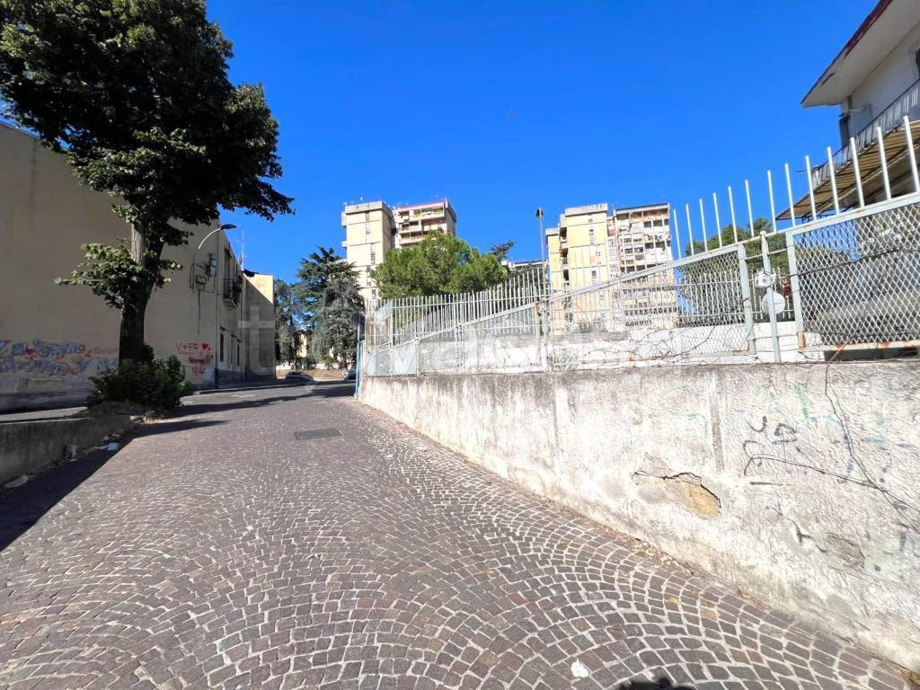 immagine annuncio 10 di 12