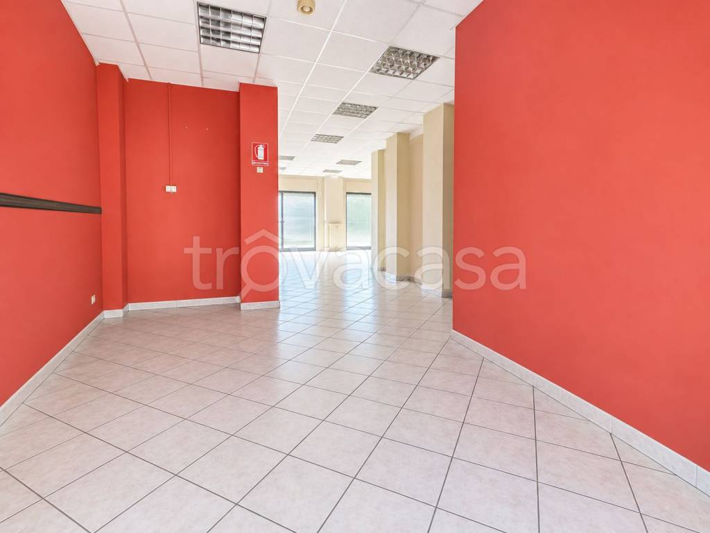 immagine annuncio 4 di 7