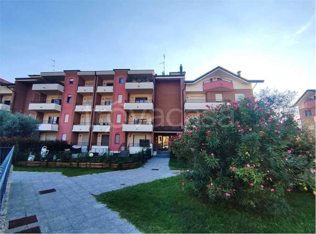 immagine annuncio 1 di 15