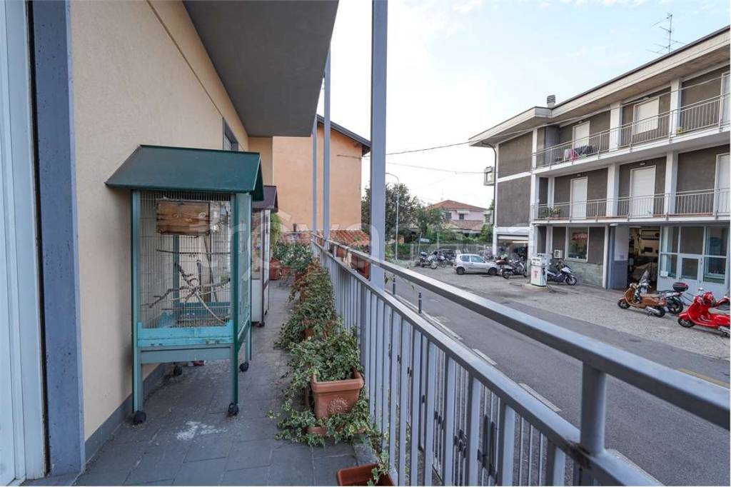 immagine annuncio 7 di 15