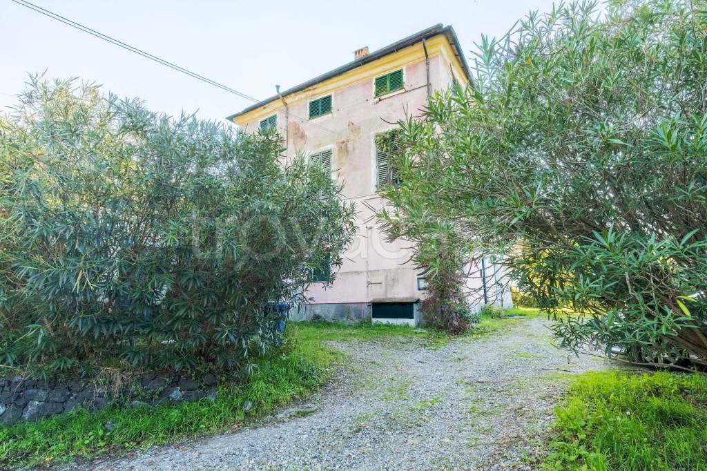 immagine annuncio 3 di 9