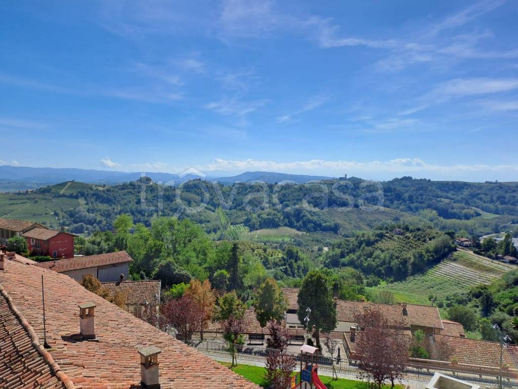 immagine annuncio 9 di 14
