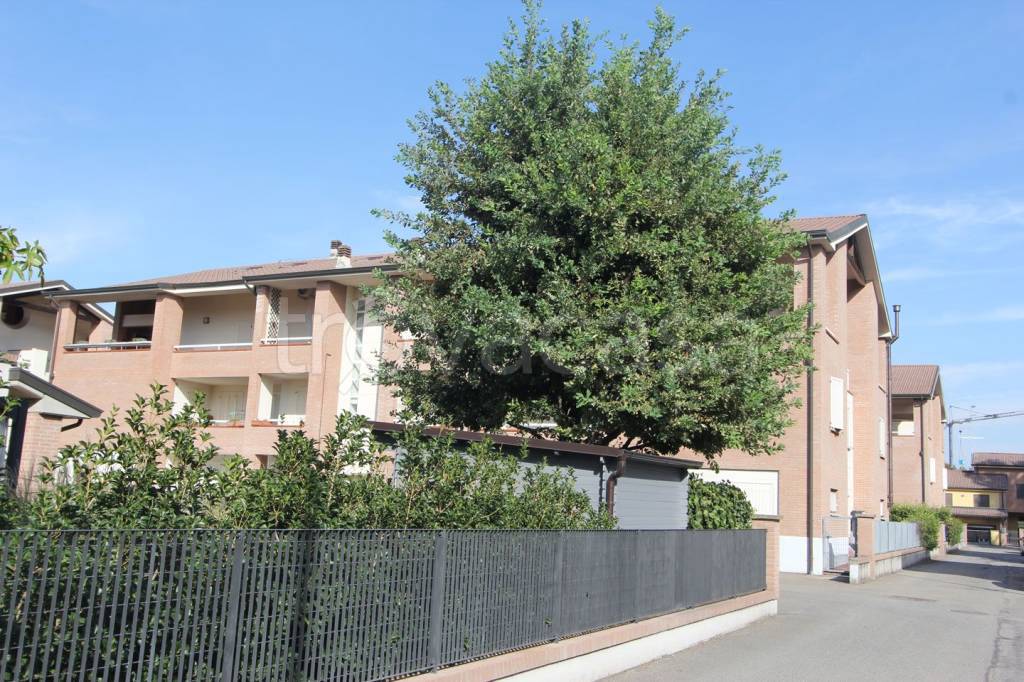 immagine annuncio 14 di 15