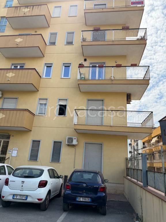 immagine annuncio 7 di 12