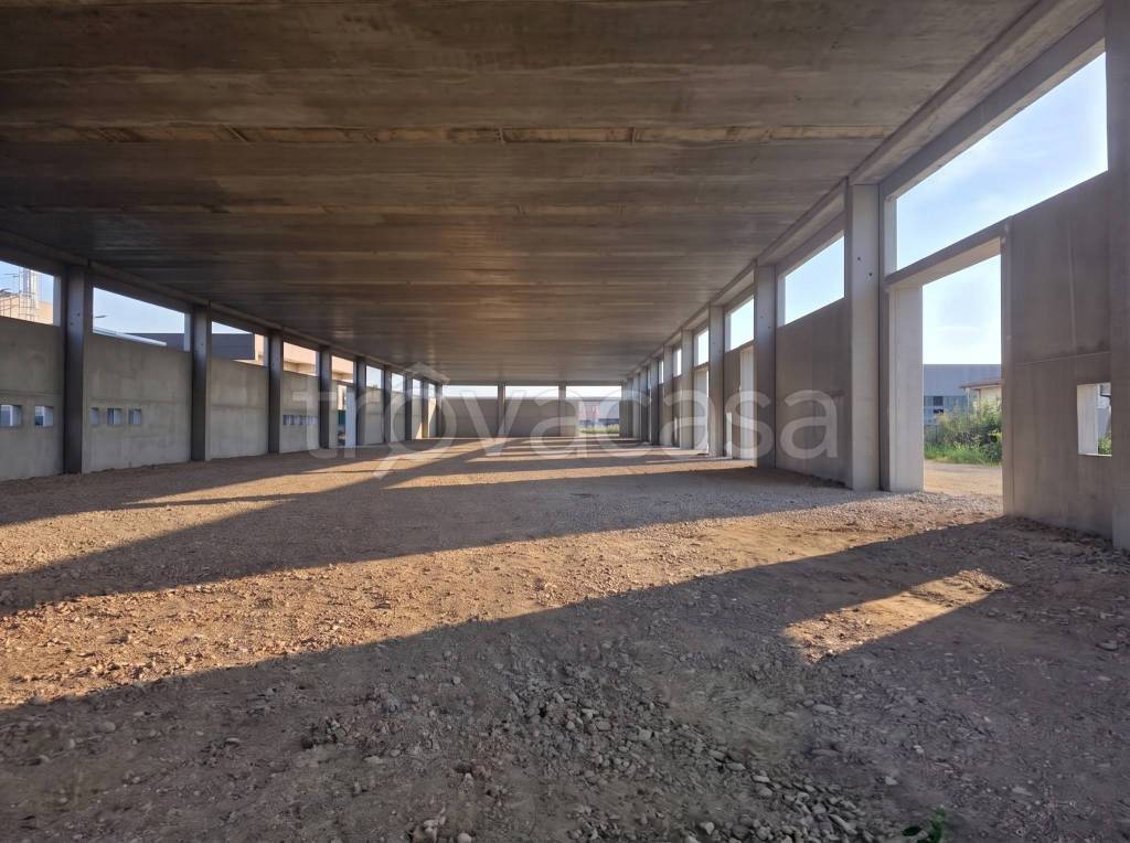 immagine annuncio 3 di 8